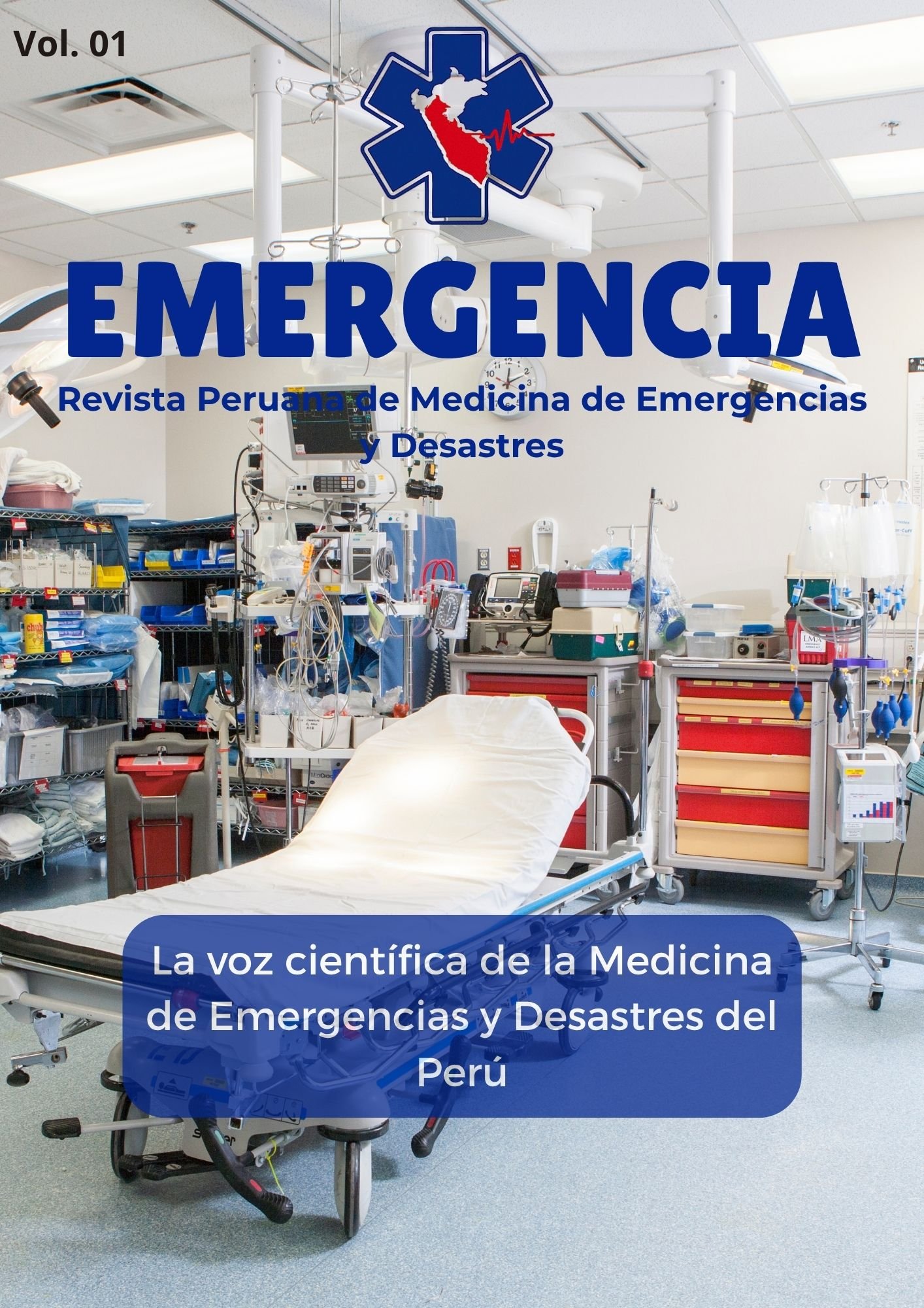 Ver Vol. 1 Núm. 1 (2025): Orígenes y Filosofía